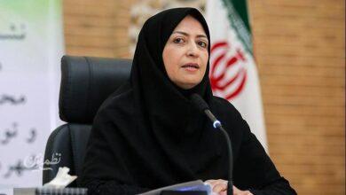 شینا انصاری