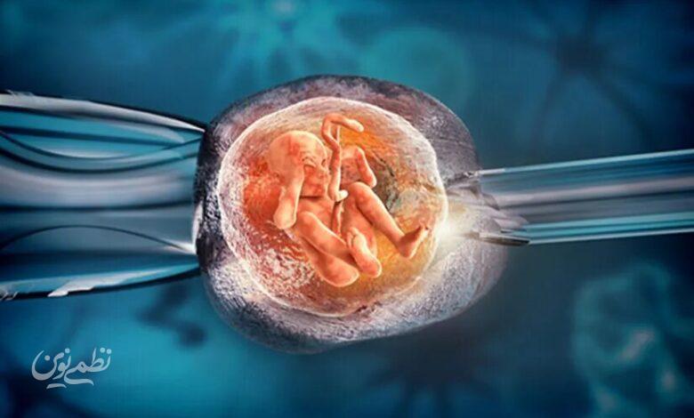 IVF