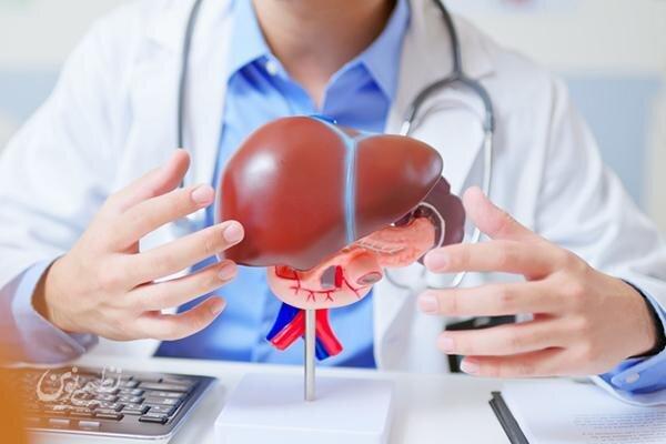 liver