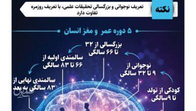اینفو