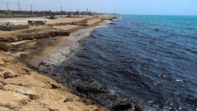 خلیج فارس