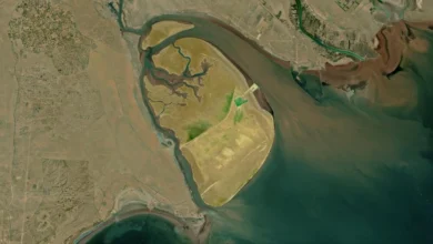 جزیره بوبیان