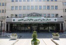 سازمان امور مالیاتی