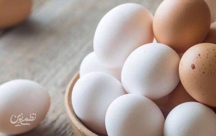 تخم‌مرغ برای قلب مفید است یا مضر!