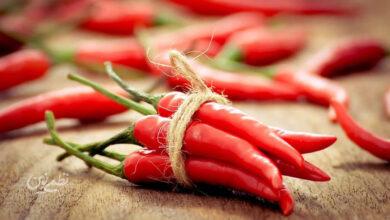 Chili red pepper - فلفل قرمز - چیلی