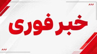 خبر فوری