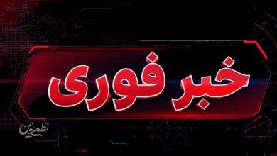 خبر فوری