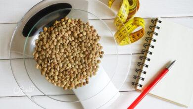 رابطه پروتئین و اشتها