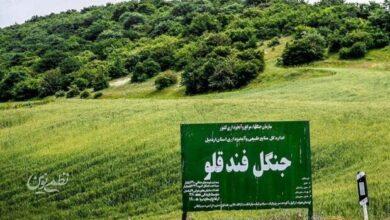 فندقلو