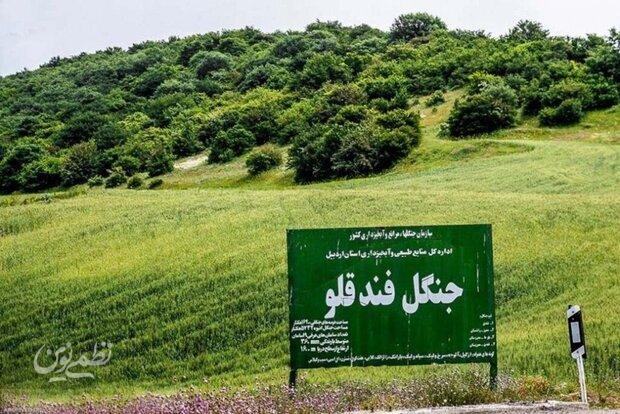 فندقلو