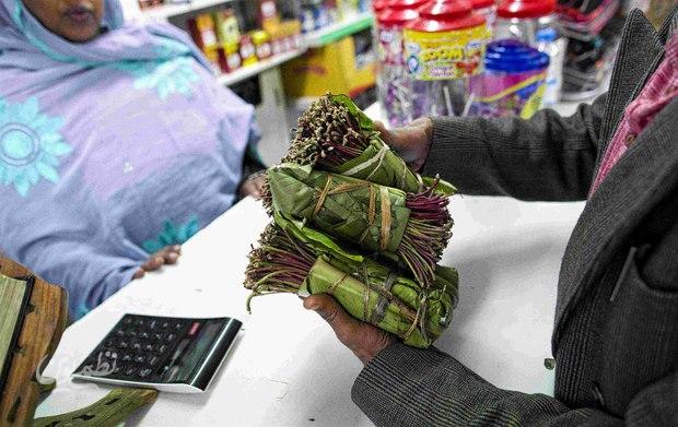 گیاه قات