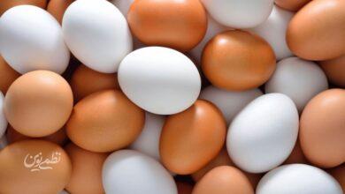 از فردا تخم مرغ تا این رقم گران می شود