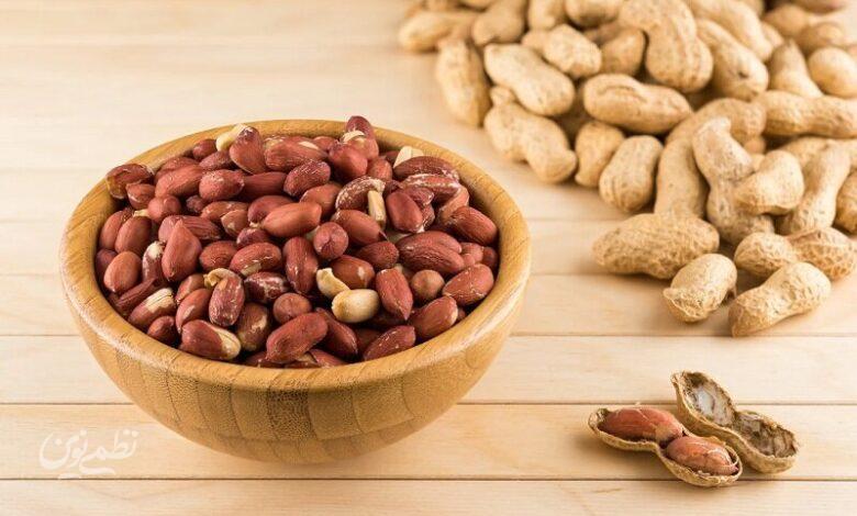 فواید بادام زمینی برای مغز انسان