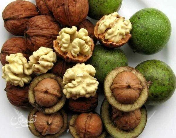 گردو