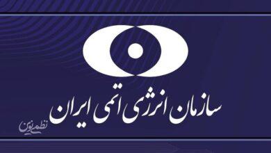 موفقیت دو دانشآموز مدارس انرژی اتمی در المپیاد جهانی